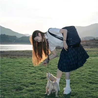 大盗贺钦布龙兹