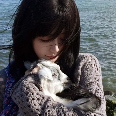 铁甲小宝